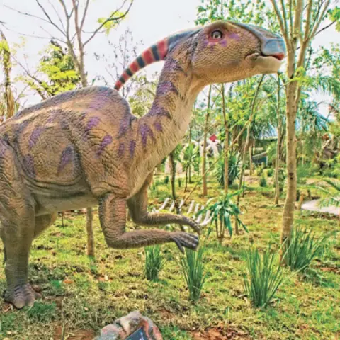 Imagem representativa: Vale dos Dinossauros - Veja empreendimentos com cota imobiliária perto do Vale dos Dinossauros